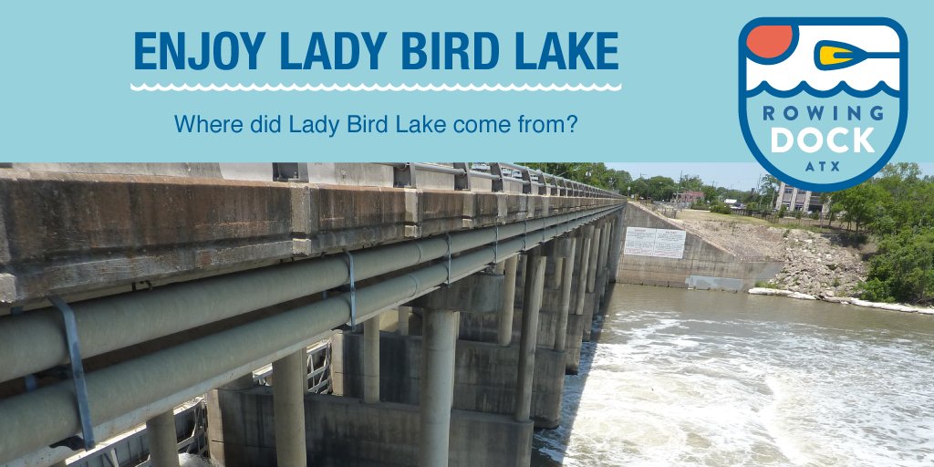 Lady Bird Lake is the easternmost of the Texas Highland Lakes, all created by a series of dams on the Colorado River to control soil runoff, produce hydroelectric power, and create a body of water for all to enjoy! So come out and celebrate #LadyBirdLakeTuesday