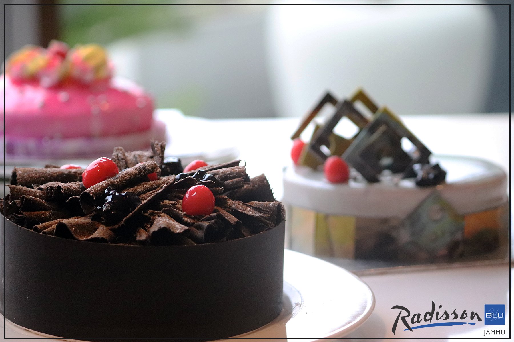 Top 148+ jammu cake best in.eteachers