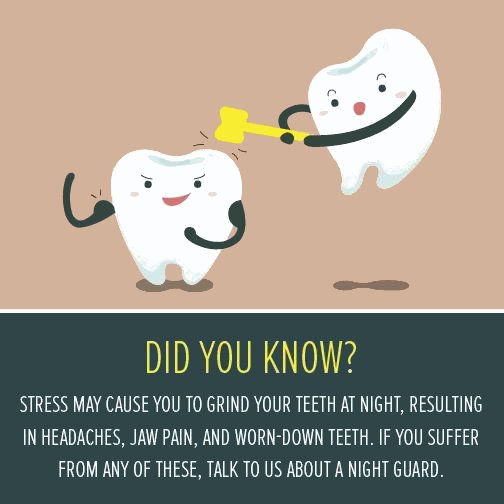 Dr. Chris Mott tweet media