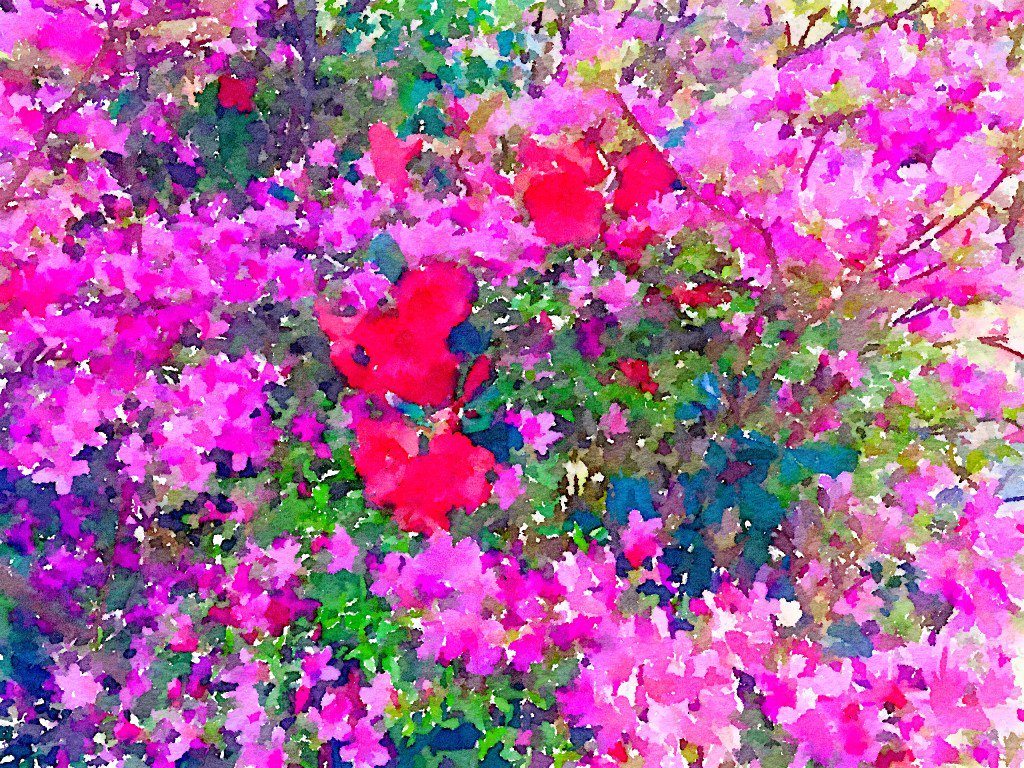 The Bouquet-a-Week Project: Week Twenty-Seven braidenblossoms.com/2018/08/bouque…