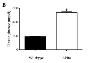 Diagnostic techniques in genetics 2006