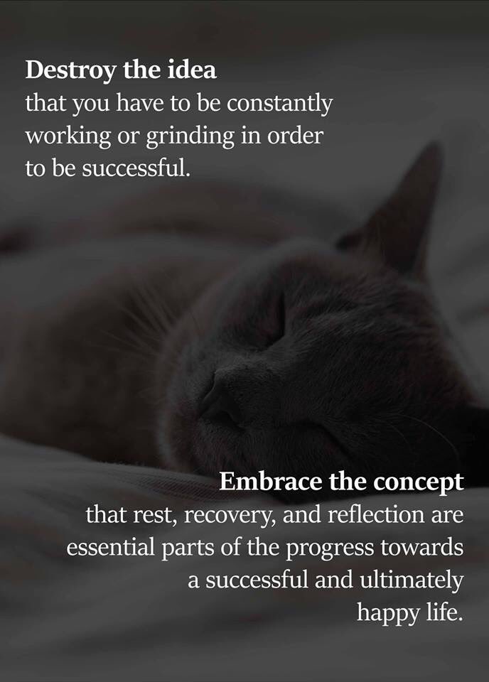 elainebdmidwife's tweet image. A reminder for academics and all the workaholics out there striving to make a difference #lovemyjobtoomuchsometimes #stopandsmelltheroses #restandreflect