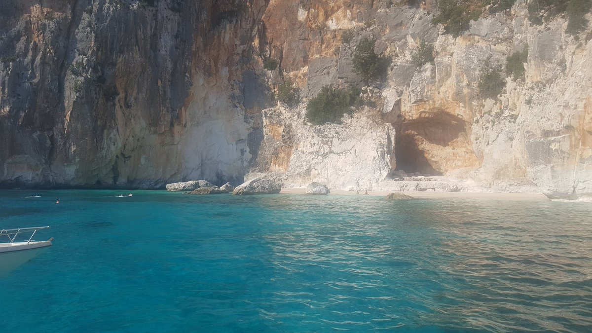 Gaetano Cafiero (@gcafiero) on Twitter photo 📍 #Sardegna
⛱️ #PiscinediVenere
Semplicemente meravigliose 📍 #Sardegna
⛱️ #PiscinediVenere
Semplicemente meravigliose