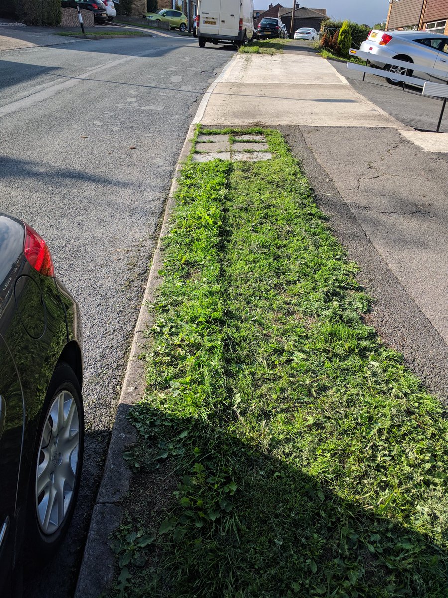 MattJGiles's tweet photo. @ValeofGlamorgan do I only have to pay half my council tax this month, seeing as you could only be bothered to cut half the grass verges in my street today. Pathetic effort! https://t.co/uicfPoqc6H