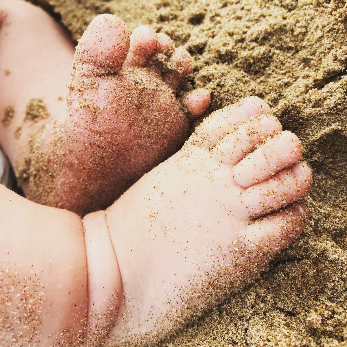 Lilypad_Designs's tweet photo. Sandy toes and salty kisses 💙 #maternityleave #summerholiday #babyboy https://t.co/Oh9vJoP95e