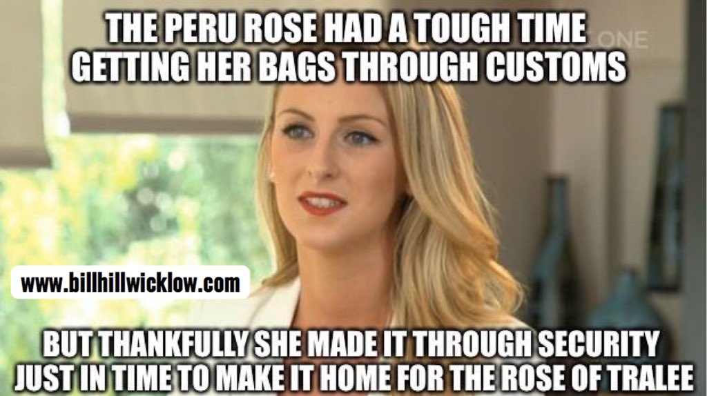 BillHillWicklow's tweet photo. Absolutely Buzzing to see the Peru Rose take the stage๐๐ #RoseOfTralee #RoseOfTralee2018 #PeruRose https://t.co/CSuvaPxQzP