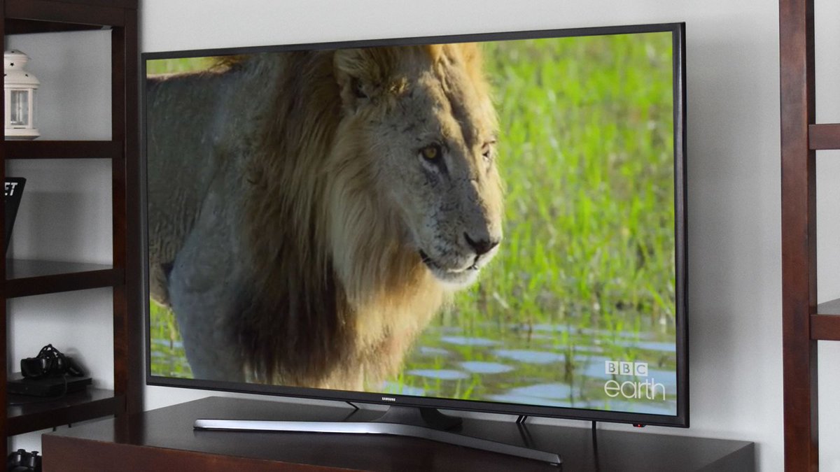 PETA Condemns BBC For Trapping Thousands Of Endangered Animals Inside TV Screens trib.al/rPgmryZ