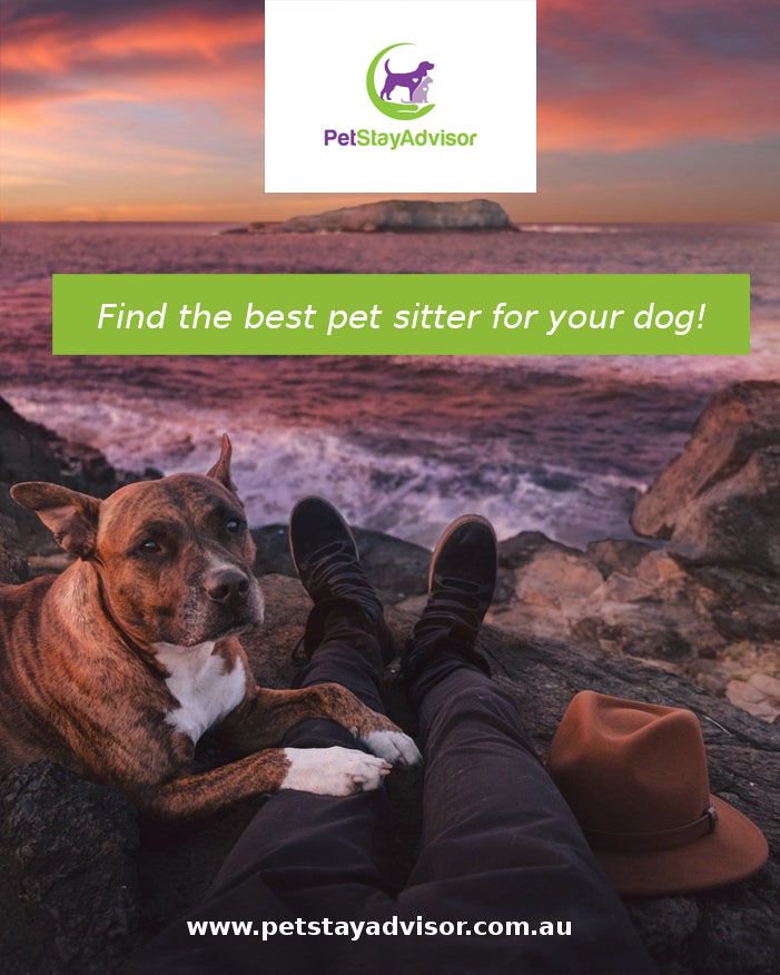 Looking for a pet sitter? Our site ensures you find one that is the perfect fit for you and your pets. Search now! buff.ly/1oeQWIl #tripadvisorforpetboarding