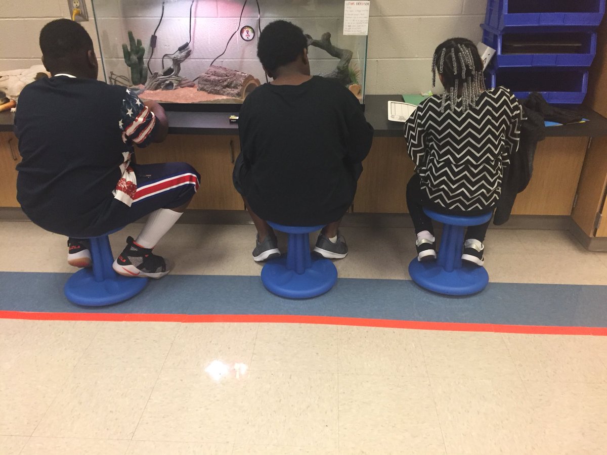 MrsSheriffSTEM's tweet photo. Getting Reggie to help us with our work during Science! @VarennesElem #MsDickerson https://t.co/CvorKHskRk