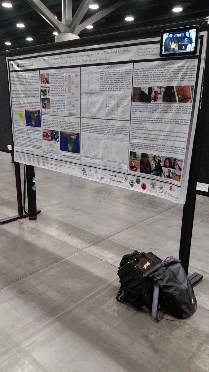 Samuel'Dayo'Osinubi tweet media