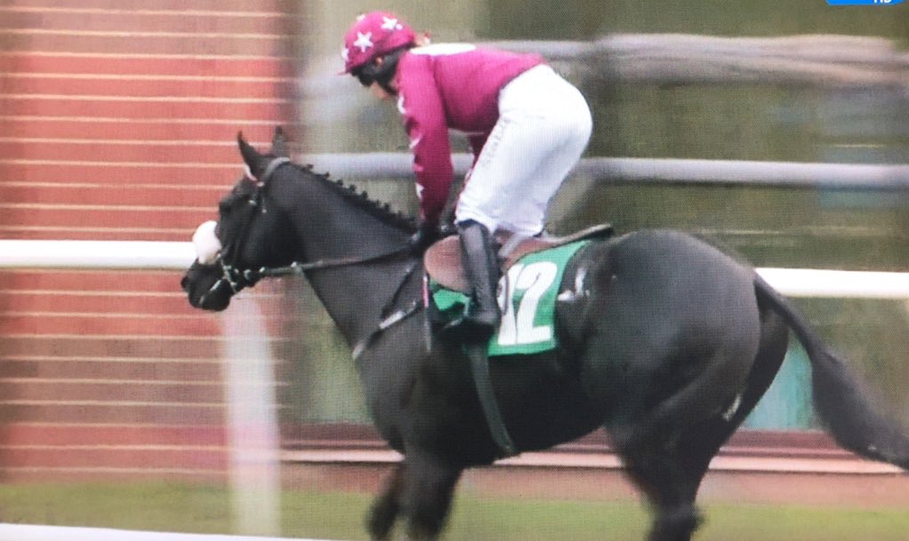 amajox's tweet photo. Congrats yest @amajox @MccainElla won 6f sprint @ThirskRaces #Racquet @RuthCarr1 #15ran #topjock๐๐๐๐๐ฌ๐ https://t.co/tngkpAgYcG