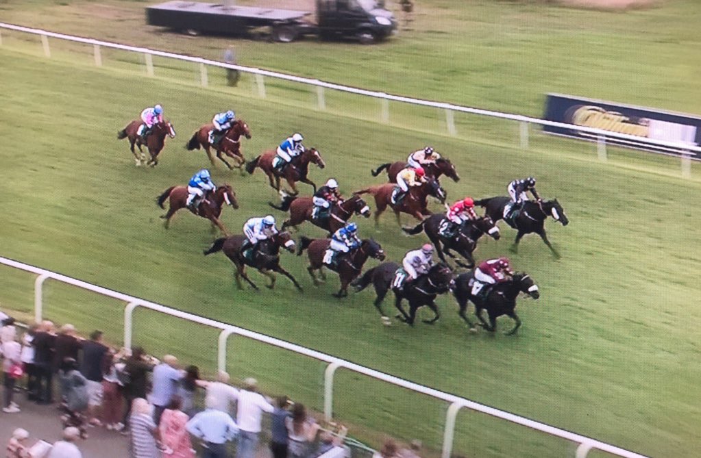 amajox's tweet photo. Congrats yest @amajox @MccainElla won 6f sprint @ThirskRaces #Racquet @RuthCarr1 #15ran #topjock๐๐๐๐๐ฌ๐ https://t.co/tngkpAgYcG
