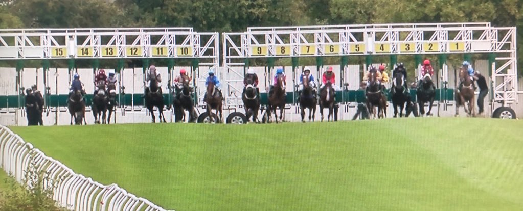 amajox's tweet photo. Congrats yest @amajox @MccainElla won 6f sprint @ThirskRaces #Racquet @RuthCarr1 #15ran #topjock๐๐๐๐๐ฌ๐ https://t.co/tngkpAgYcG