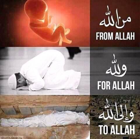 saidabbash's tweet photo. No matter how good/bad our life is, we should never forget what the reality is..
#reality #FromAllahToAllah https://t.co/Hx5oCwkfN8