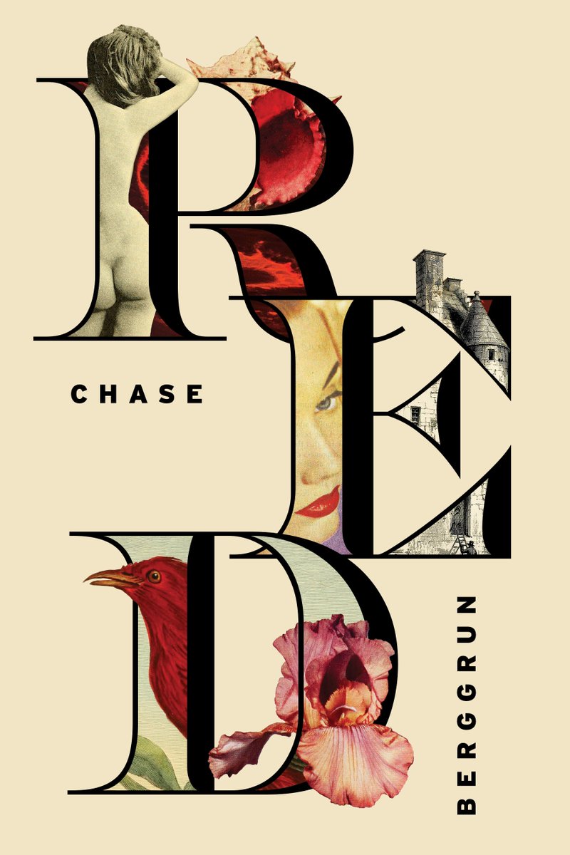 Chase Berggrun tweet media