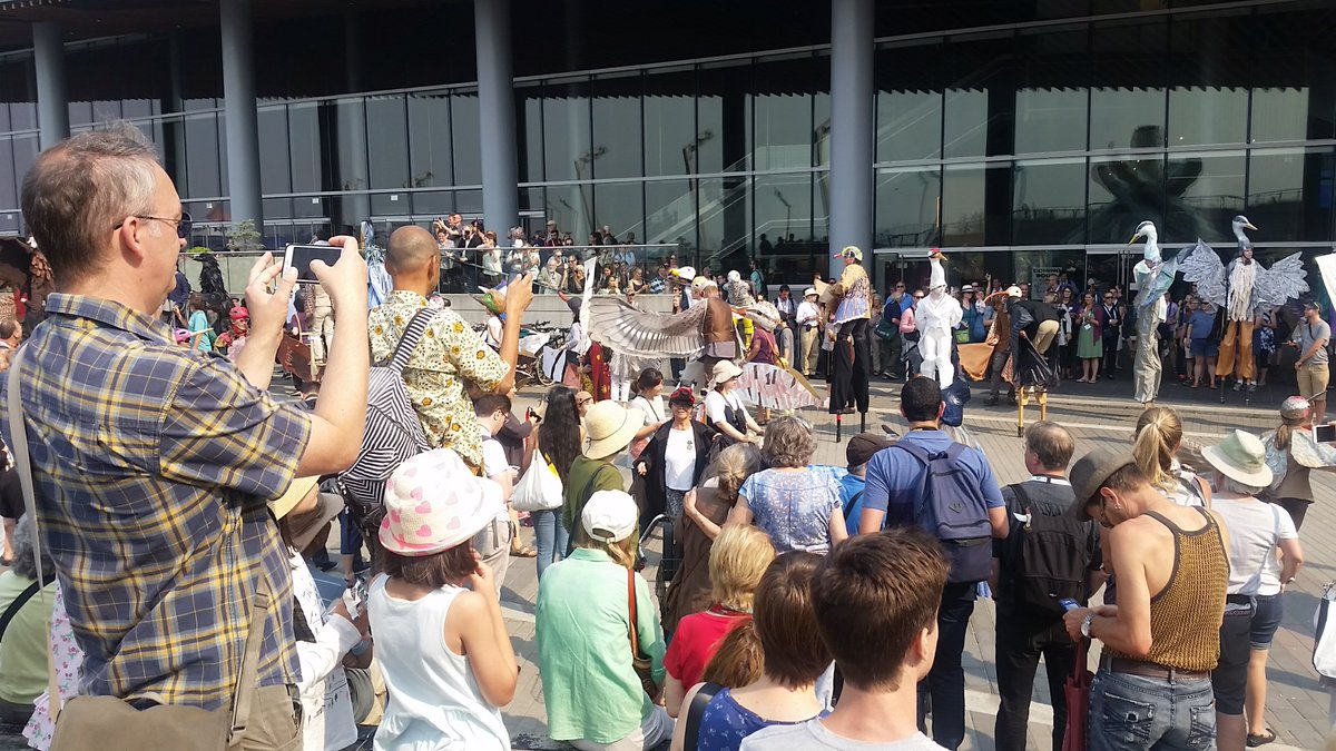 Migrant Landbirds tweet media