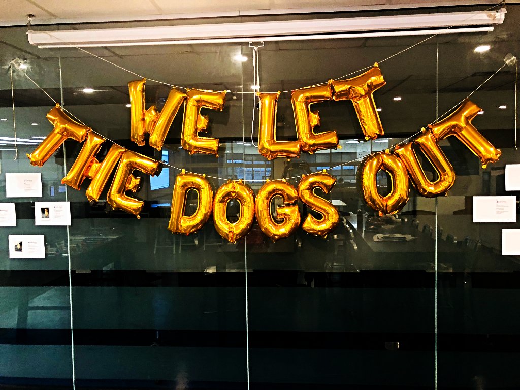 EyereturnMktg's tweet photo. *We* let the dogs out!  🐶  To celebrate National Dog Day on Aug. 26, we invited all of our fur-ployees to HQ for a photo shoot + bake sale to benefit @THS_tweet. Eyereturn supports ownership of all breeds &amp; believes all dogs should have a happy, safe, abuse-free life. https://t.co/kqFk2qa6bY