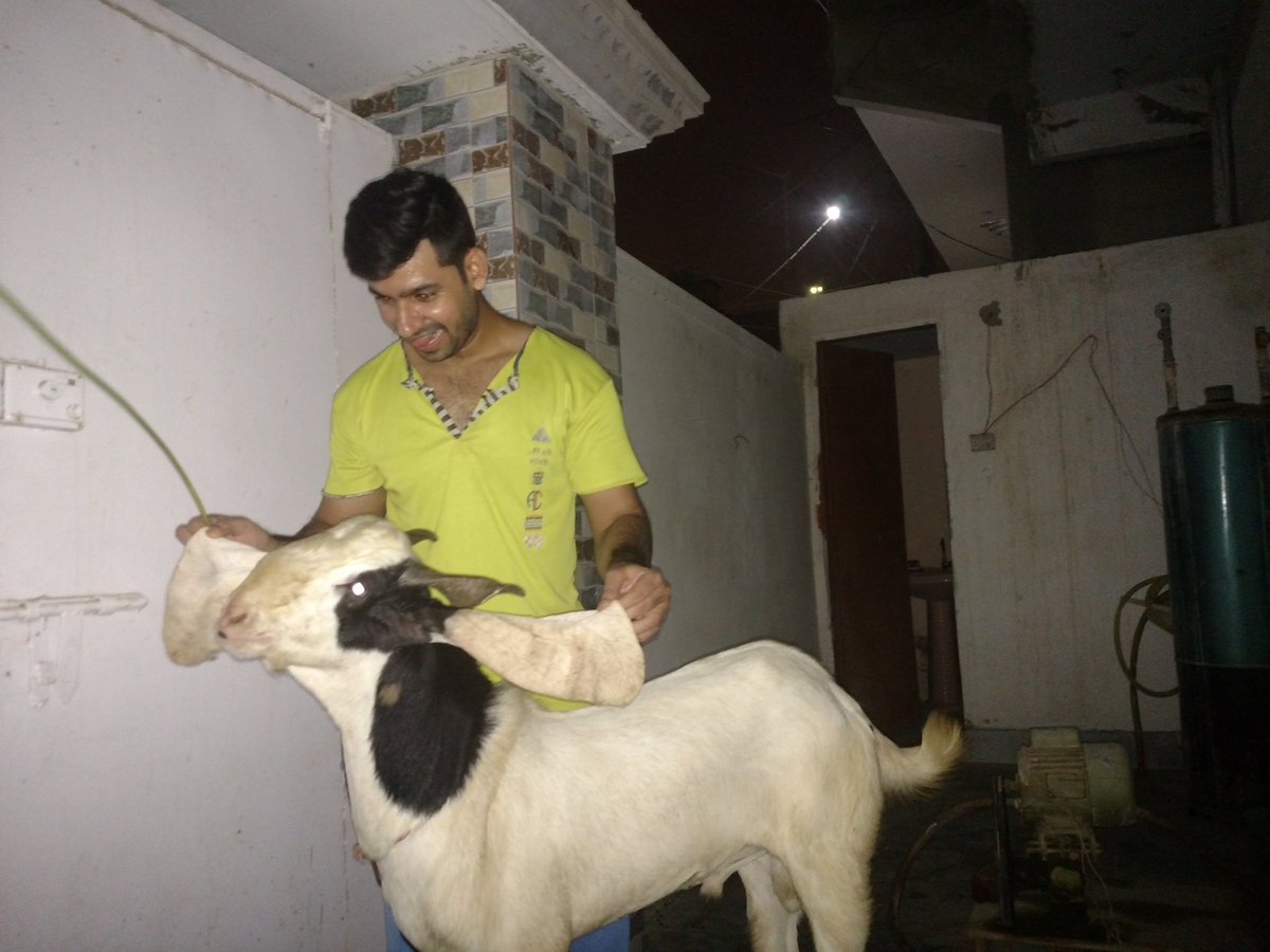 Syed HammadAli Zaidi tweet media