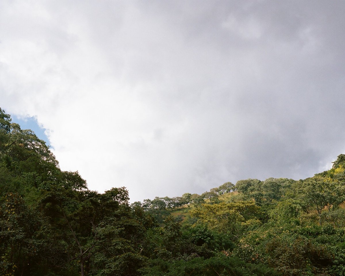 The hills overlooking Utengule Coffee Farm, Tanzania. #thegoodsociety #economics #tgs