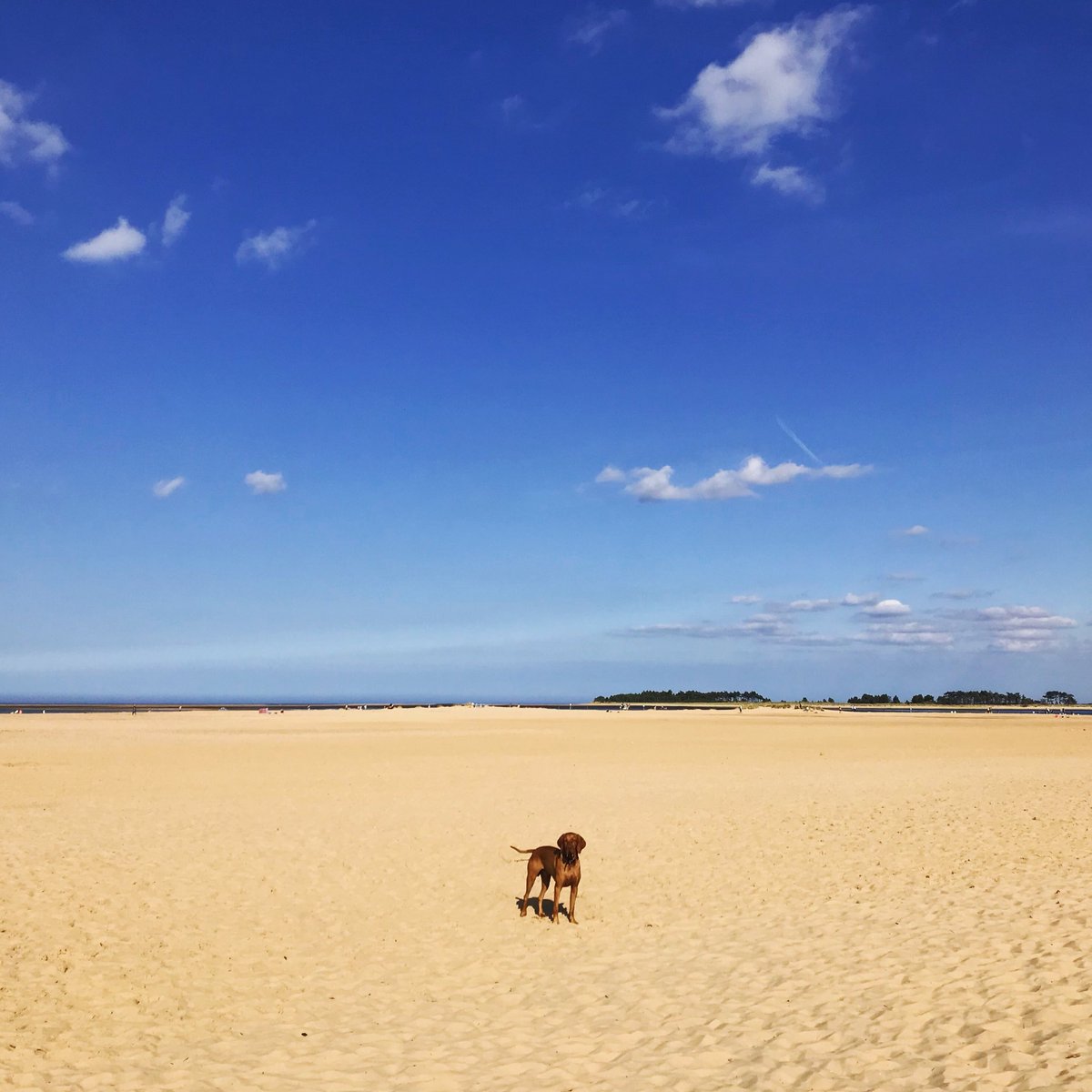 Hat5Hat's tweet photo. This is Norfolk. https://t.co/pM78qR7lJ9