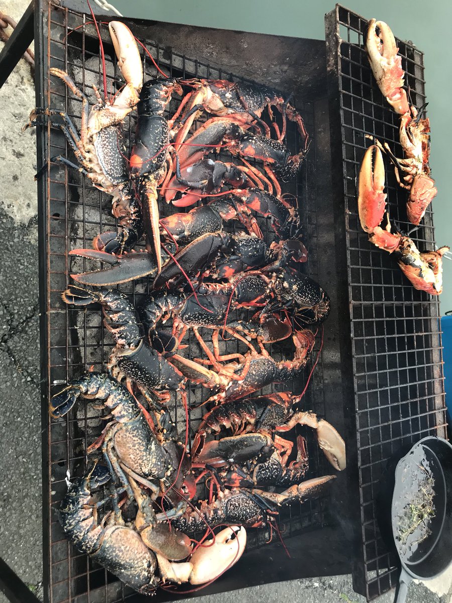 Retweet the fuck outta my Paella! Fruits of the Menai! We need to celebrate our local seafood here in North Wales! 🐚🐟🏴󠁧󠁢󠁷󠁬󠁳󠁿❤️🔥👌🏾 #menaimussels #menailobster