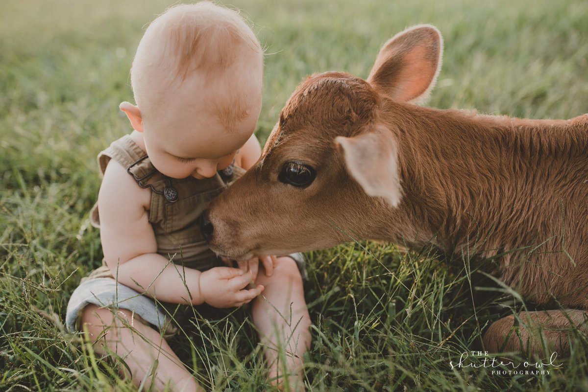 morphon's tweet image. #hbusymp18