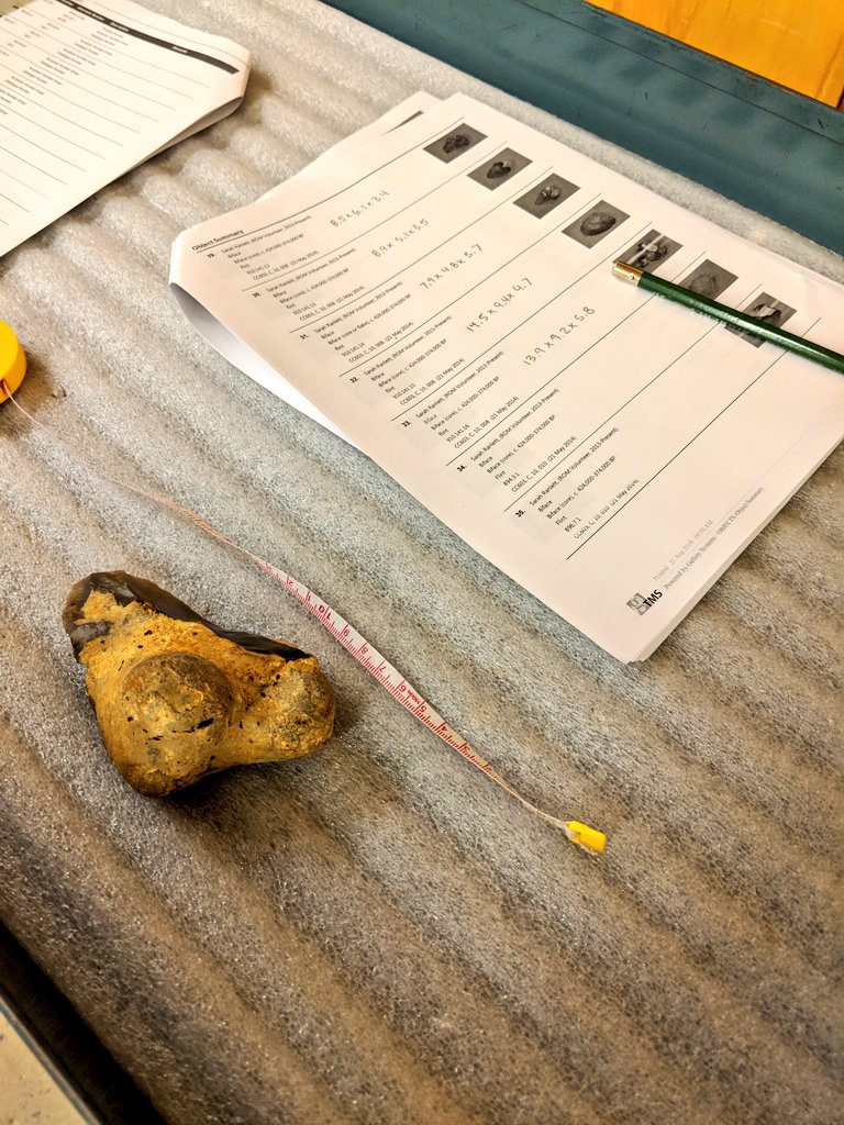chernairn's tweet photo. #FunFact the @ROMtoronto lithic collection is housed in the West Asian Department! Getting these guys ready for their debut on eMuseum #romdigital #museumcollections #prehistory #palaeolithic #acheulean https://t.co/fHkugHhBqd
