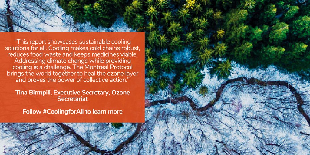 SEforALLorg's tweet photo. Keep cool and carry on: how the Montreal Protocol is making cooling sustainable and supporting the #SDGs. Following #HLPF2018, read #CoolingforAll blog by Tina Birmpili, Executive Secretary of @UNEnvironment #OzoneSecretariat on sustainable cooling: https://t.co/KJemJHJ9wL #SDG7 https://t.co/HrZxJNW061