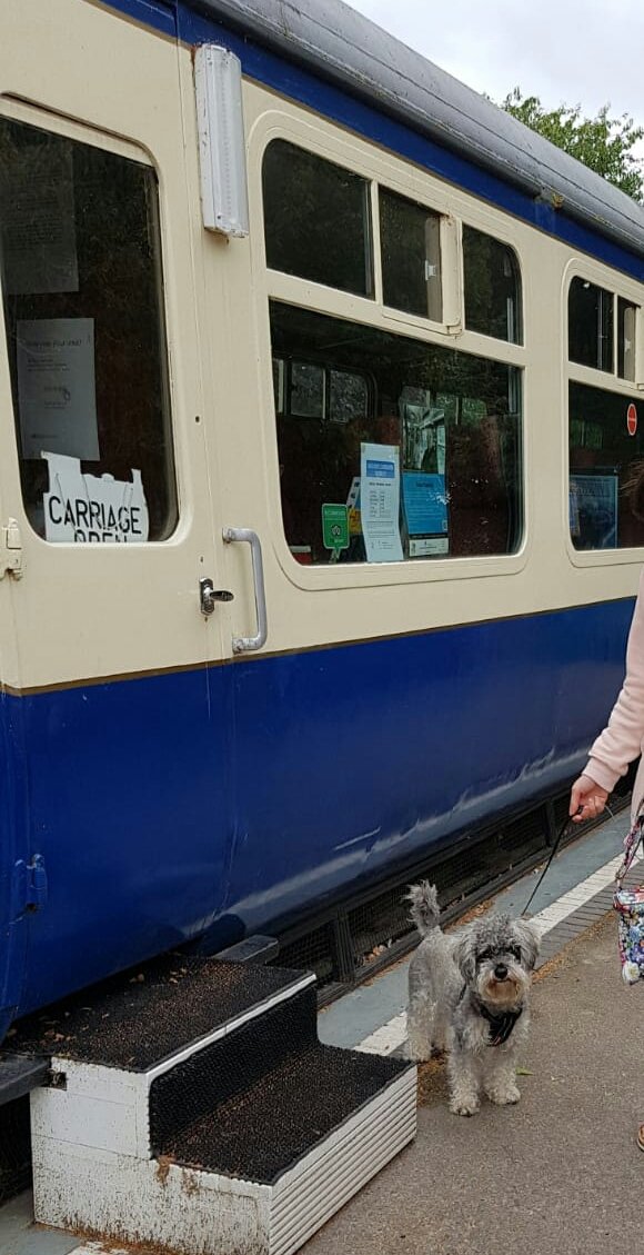 shakeexpress's tweet image. We LOVE independents. They are the heart and soul of communities. We support independents when we can and had an amazing lunch @Thebookinghall 
#Shoplocal #lovelocal #supportsmallbusiness