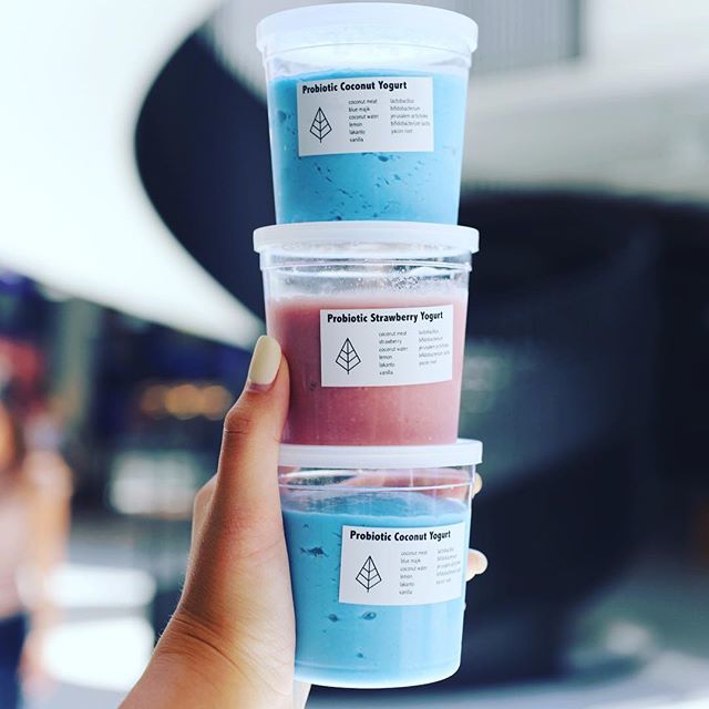 lifehousetonics's tweet photo. Our plant based probiotic yogurts will help you maintain a healthy gut. The most important building block for any healthy system. Available at both locations with free added toppings! #πβ‘οΈπΏ #lifehousetonics #livelifehouse #itsnotjuice https://t.co/ubVMAeRDS8