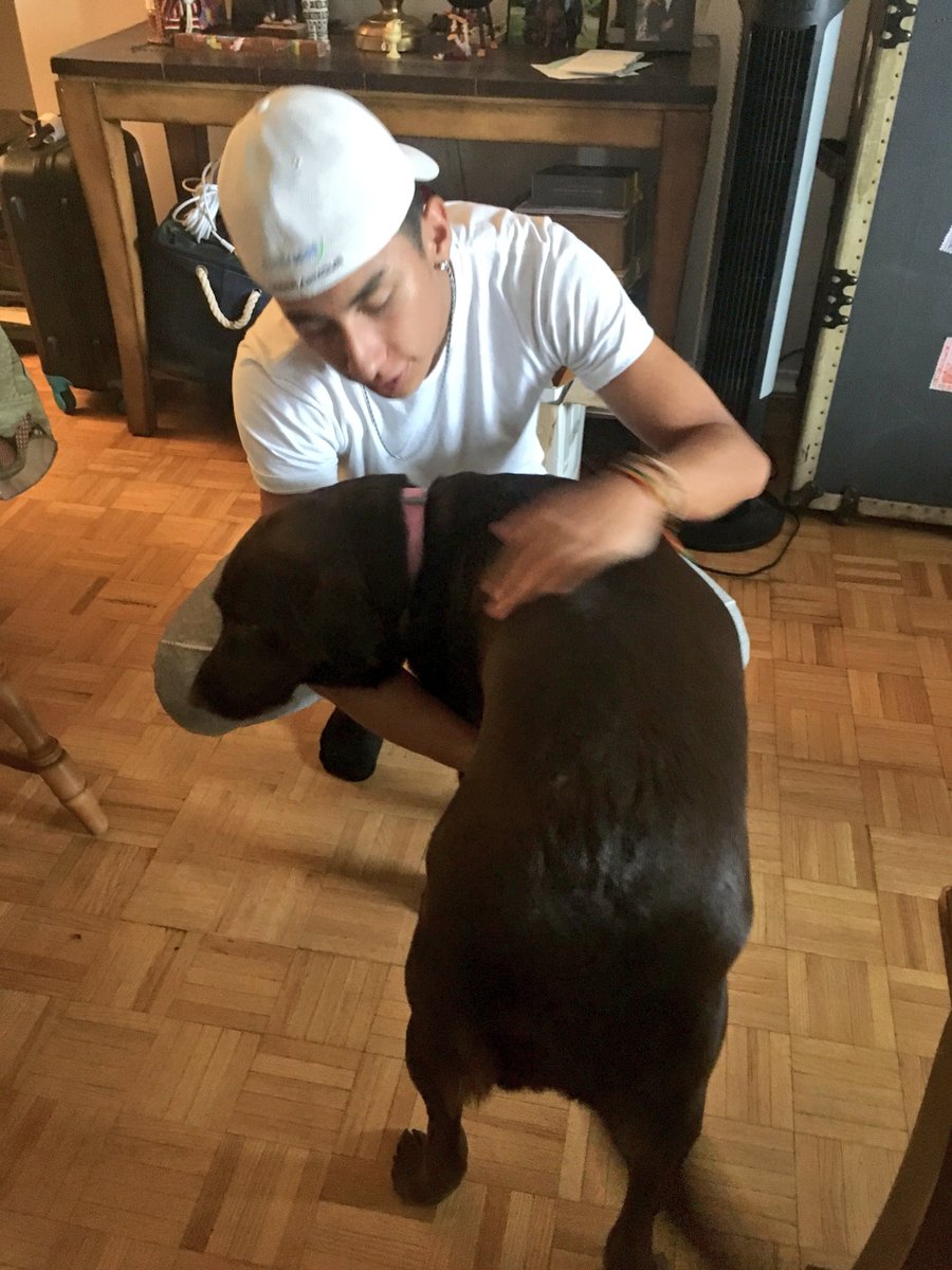 NotTheGringos's tweet photo. Sammy is equally apart of the squad #sammy #SquadGoals #DogLover #gringos https://t.co/eQj1FniEFg