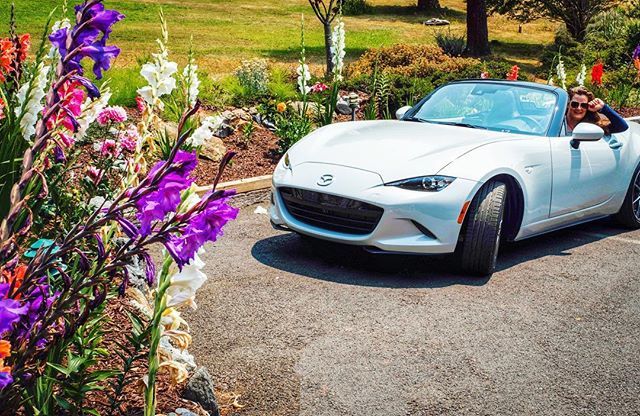 blogherethere's tweet photo. 🚗 Beep, Beep! I had the best time road tripping with @Mazda in these cute little Miatas! There really is nothing like a summer road trip! #MX5 #MiataSummer #FeelAlive ad // Mendocino, CA
.
.
.
.
#explorecalifornia #visitcalifornia #heritagehouseresort #travel #norcal #califo… https://t.co/viuabObfkY