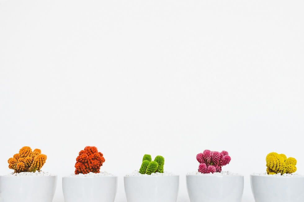 MeghanMBiro's tweet photo. How do you go beyond the buzzwords about #diversity and #inclusion and actually build a #workplace that welcomes everyone? SurveyMonkey CMO Leela Srinivasan has some ideas. https://t.co/ZlHlpby8Ua #WorkTrends https://t.co/5YDi9ykcmL