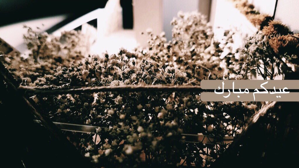 عساكم من عواده 💛. 

#DarAlMahaQU
#QatarUniversity 
#QU