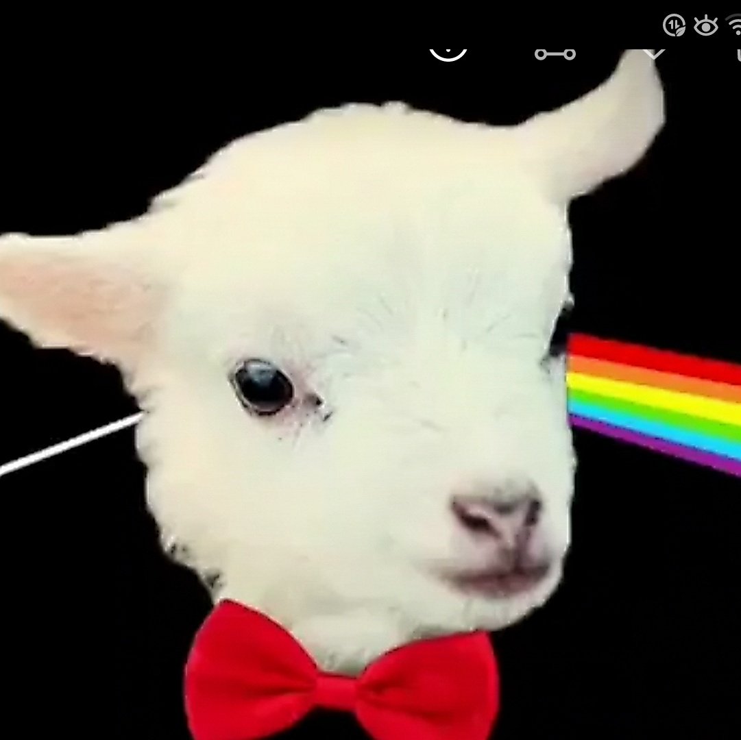 Jeff Strongman tweet media