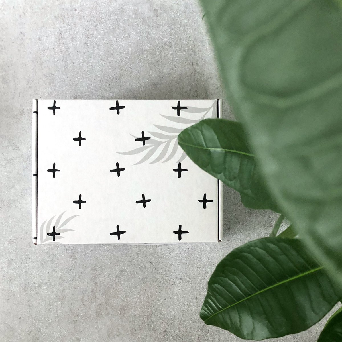 Unbox joy with a #ParaboBox subscription! 🎁 Just pick the photo you want printed and we’ll send you a package full of accessories to compliment your limited edition print. Reserve the next box, pictured here, and see what’s on the inside: box.parabo.press