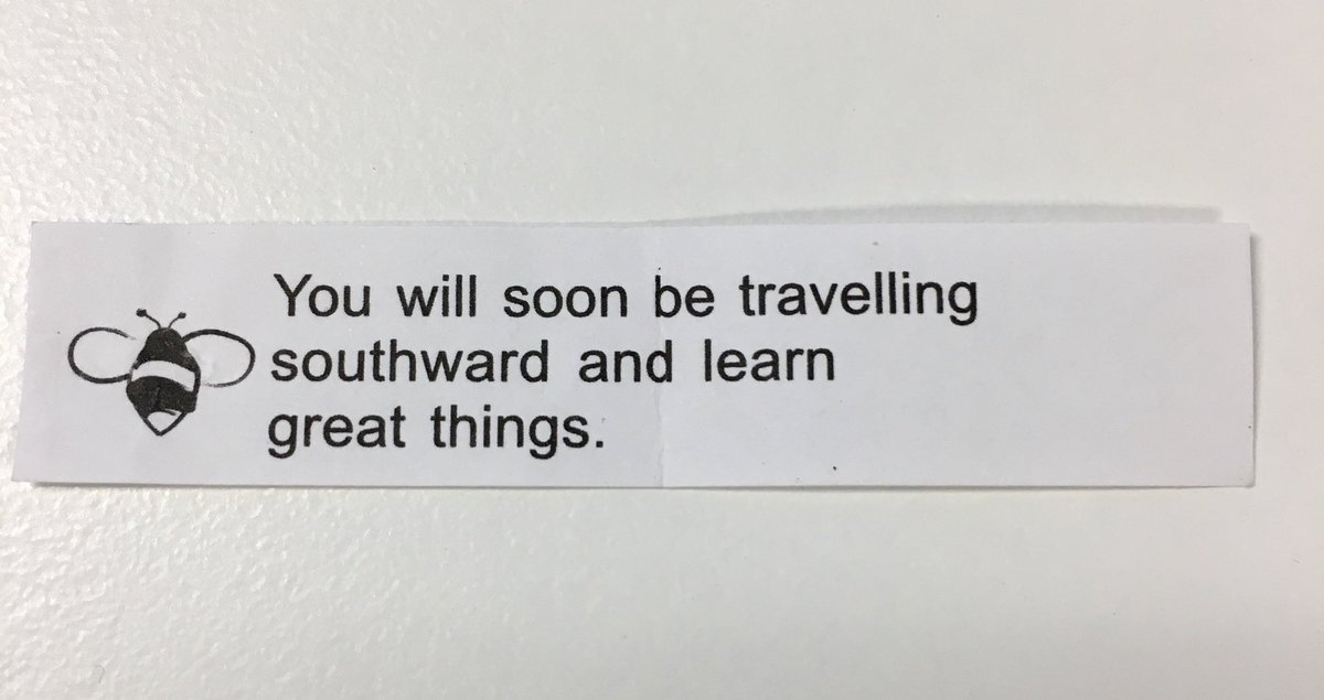PhxSunsDayOne's tweet photo. It’s the Summer of Good Fortune @PeiWei #GoodFortuneContest https://t.co/LQmiP76pCa