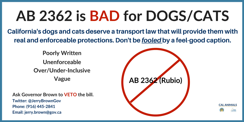 California Animal Welfare Association tweet media