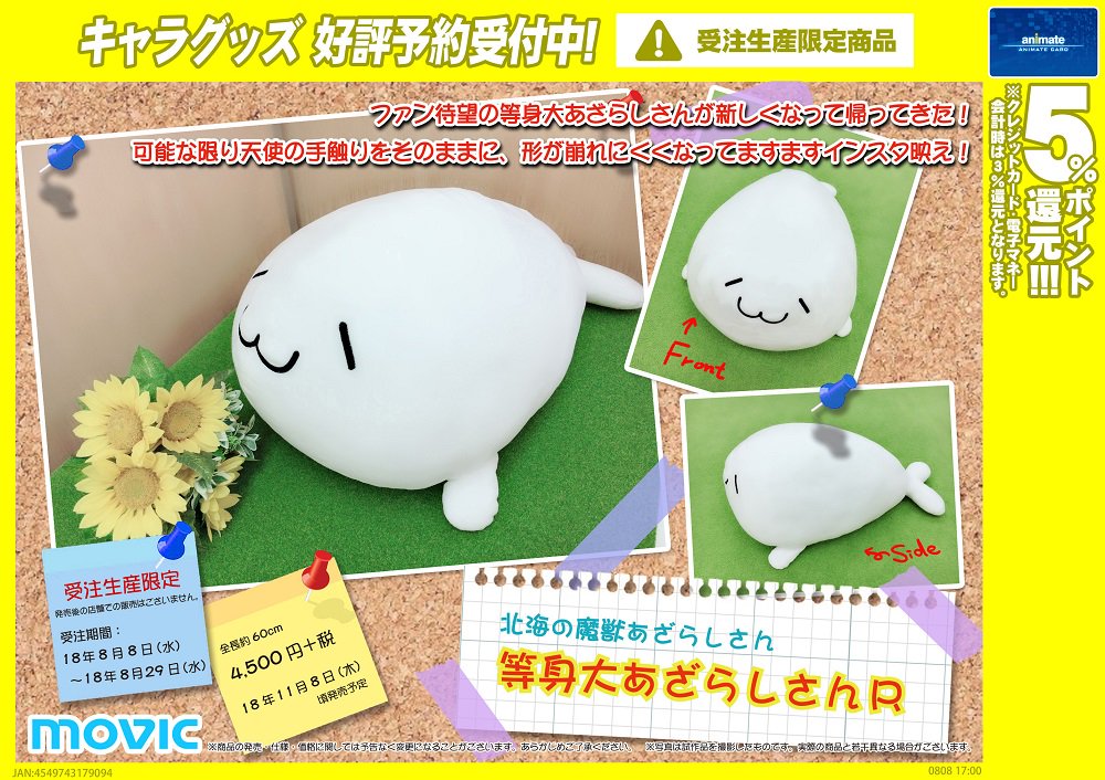 株式会社アニメイト בטוויטר 北海の魔獣あざらしさん 等身大あざらしさんr 受注生産限定商品 予約受付は8月29日まで 詳細はコチラ T Co Iq3o0kr0fq 電話予約が出来ない商品となります