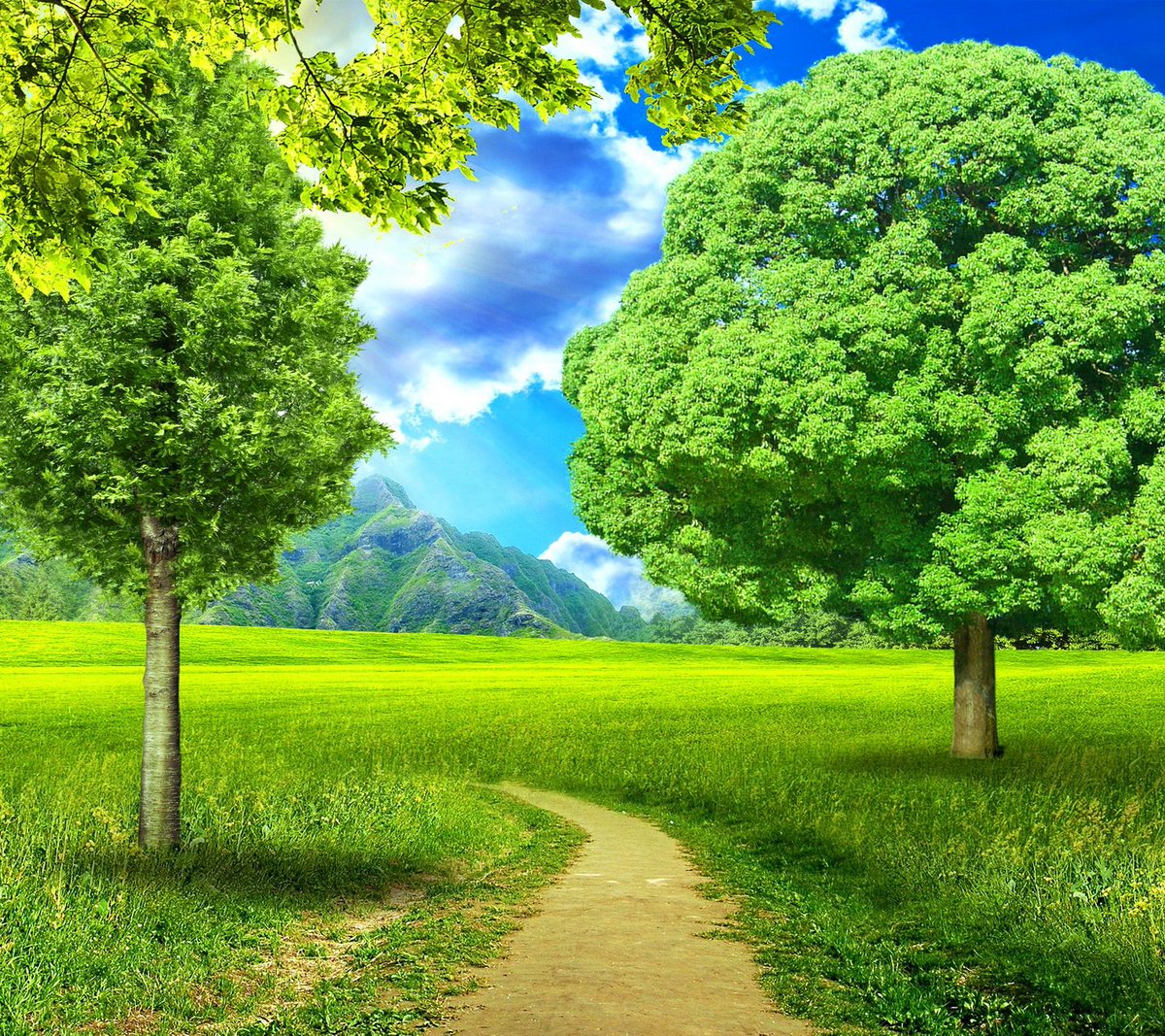 <a href="/LanaToro21/">Svetlana Toropovienė ®</a> <a href="/5Dream555/">Dream</a>