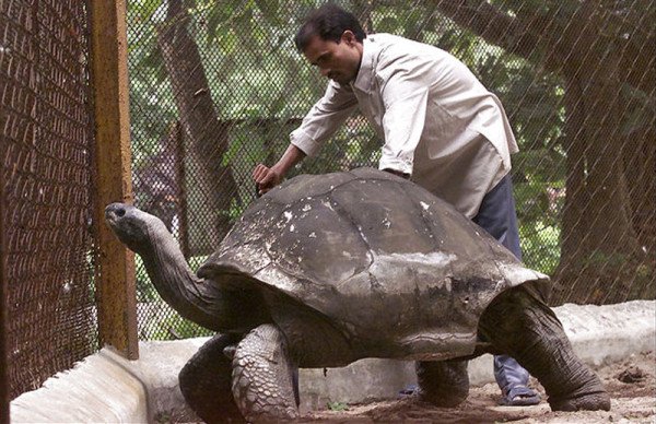 Em 2006 morreu a Adwaitya, que era uma Tartaruga Gigante das Seychelles (Aldabrachelys gigantea) que morava no Zoológico de Kolkata.Ela tinha 255 anos.