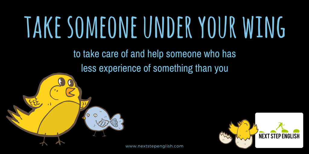 NextStepEnglish's tweet photo. 🤗: Grace is the best. She TOOK ME UNDER HER WING when I was new here.

😊: She did the same for me. I love her!

🦉 Join our email family to get more #idioms each week, and more! It's FREE! Sign up here: https://t.co/ZTh4wMDIb9 🦉 https://t.co/J4vflXtm5a