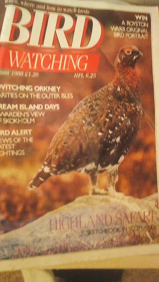 noirer's tweet photo. Blast from the past 30 years ago jeez  #hardcorebirding #initforlife https://t.co/UFp7D7LDDf