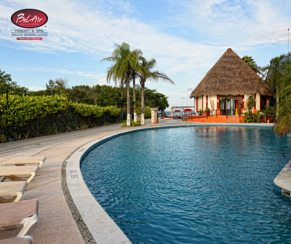 Es hora de ponerte el bikini 👙 y nadar hasta cansarte, en #BelAirRivieraMaya ya estamos listos.😎

Reservaciones aquí 👉 goo.gl/NgpxBm