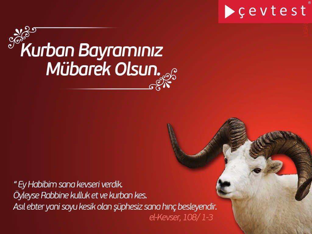 cevtest's tweet photo. https://t.co/peS6MFVLRb