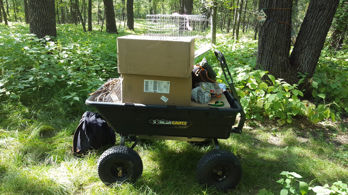 WPG_Squirrels's tweet photo. They see me rollinnn πΆ π #fieldwork #squirrelmobile https://t.co/mxdNabFzjG