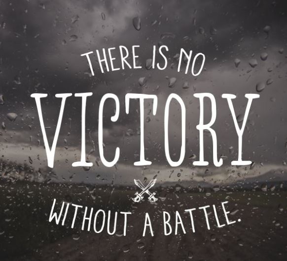 SystemaSpetsNaz's tweet photo. There is no victory without a battle!
.
.
#fighting #bestquotes #bestmartialartsquotes #russiansystema #systemaspetsnaz #russianmartialarts #russiansystematraining #kravmaga #karate #vadimstarov #aikido #judo #wrestling #systemaspetsnaz #russianspetsnaz #bestquotes #greatquotes https://t.co/c0WshI6PQh