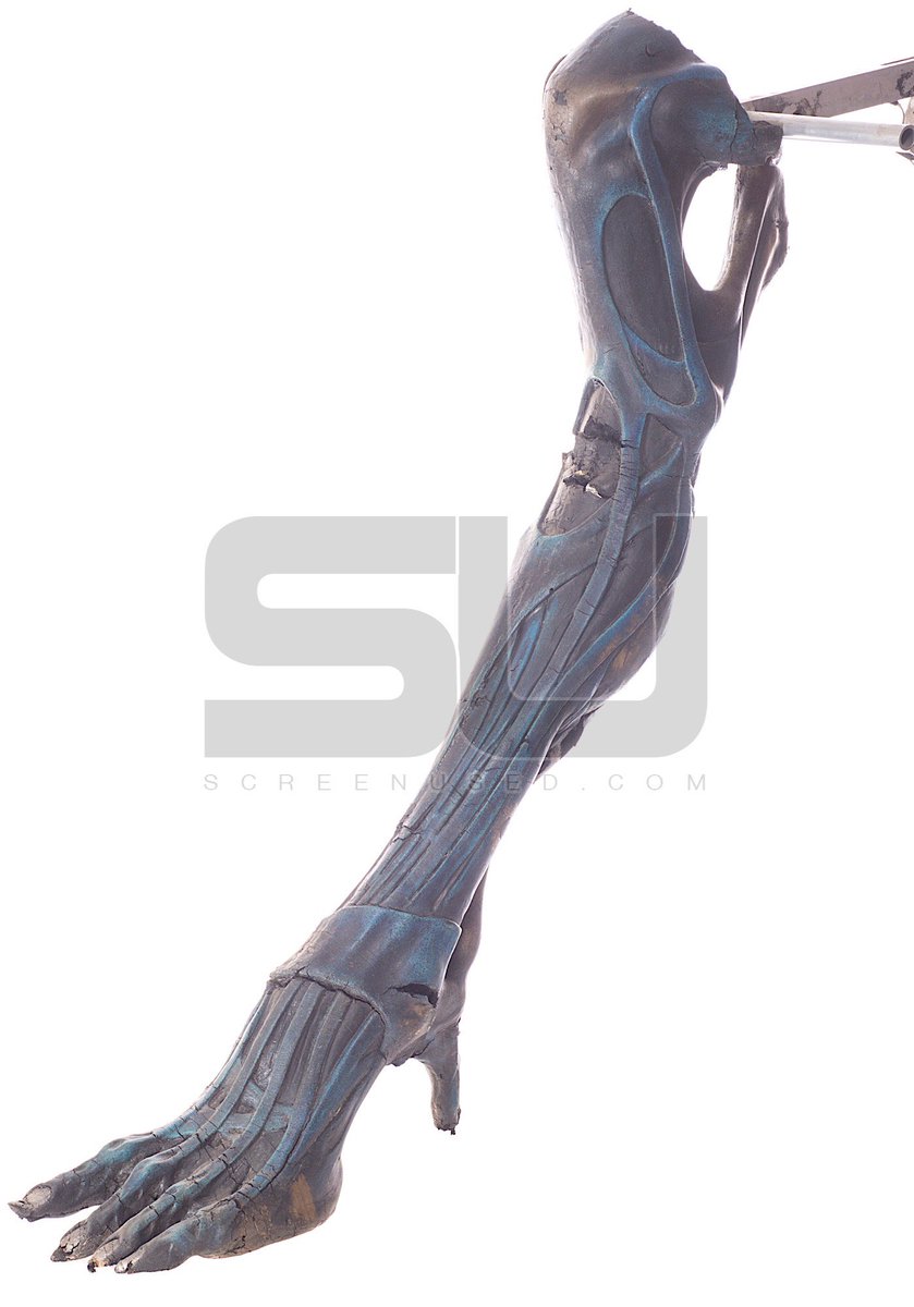 screenused's tweet image. Alien franchise fans? We have a Queen Alien Leg from Aliens in our current auction - bidding is open now, and the live online auction starts Saturday, Aug 25th at 10am Pacific Time - bid.screenused.com/Aliens-Queen-A…