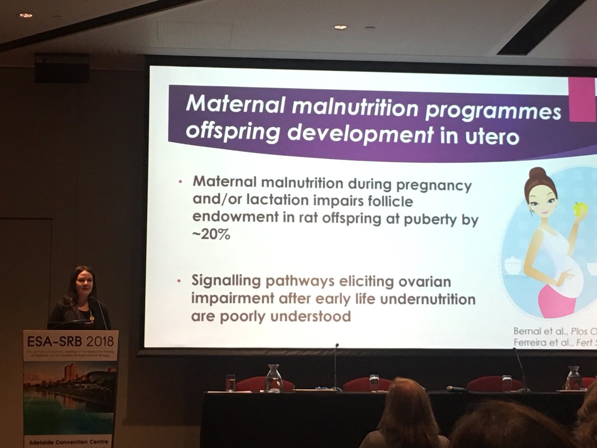 Jessica Stringer tweet media