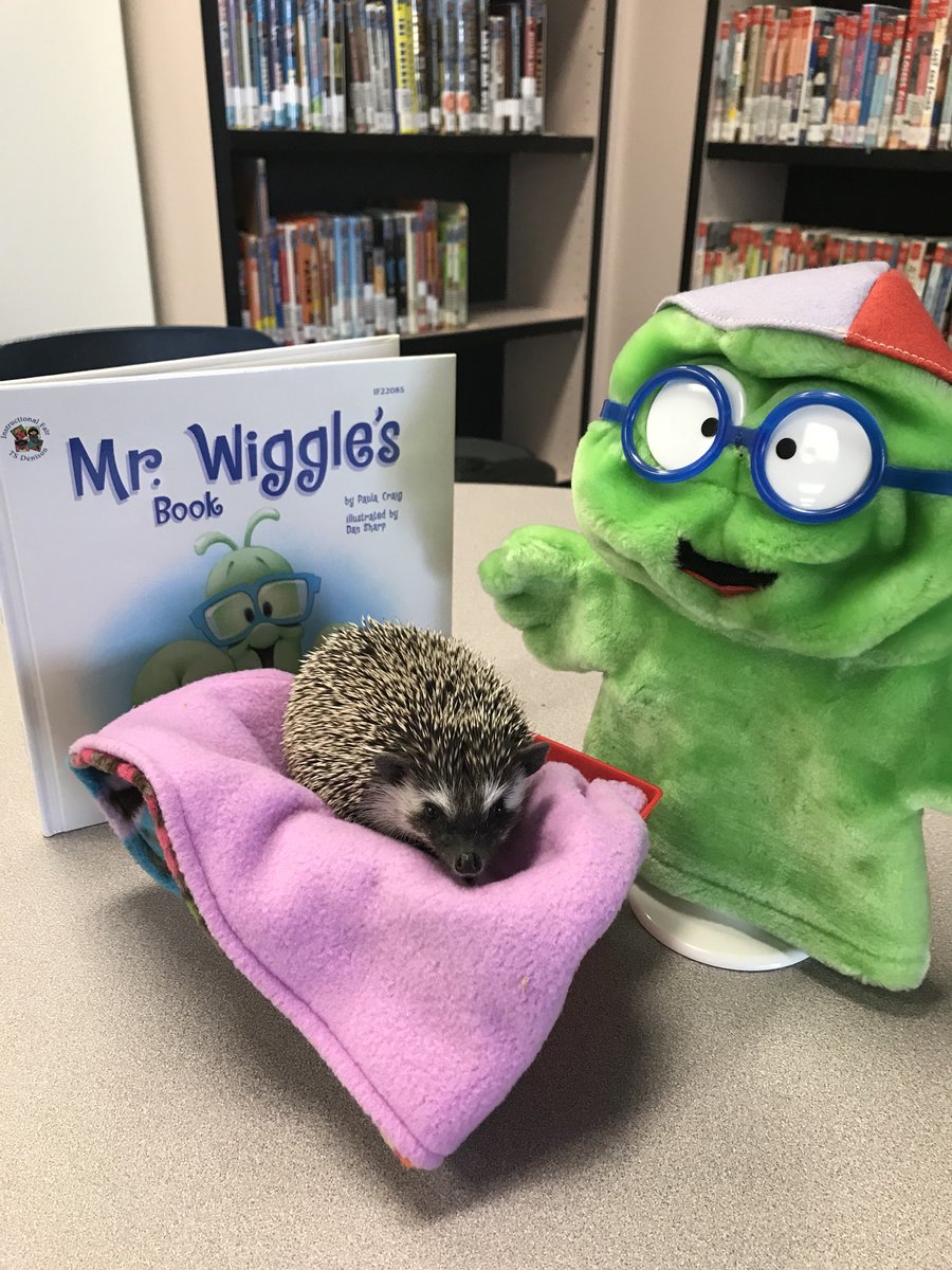 read4life's tweet image. Tilly the Trailblazer met Mr. Wiggles today with @lcblazers Kinders.  Learning proper book care is essential!  #whatwedo #librarymascot